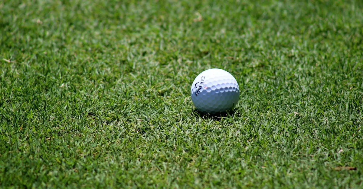 Parkland fairway at Carden Park resort with mature trees and rolling Cheshire countryside near the Welsh border